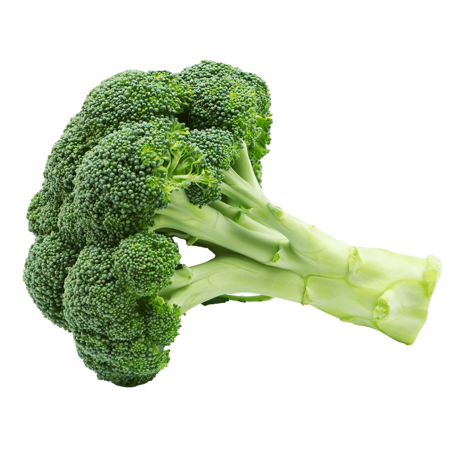 soupl broccoli