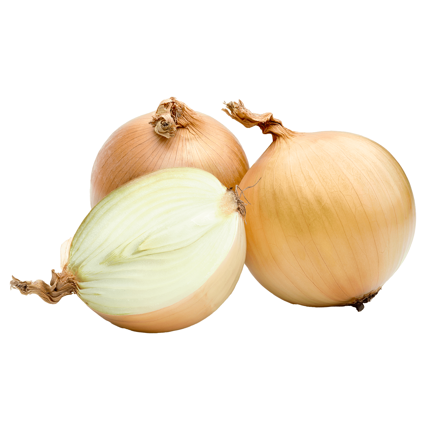 soupl uien